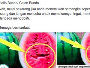 Viral Konsumsi Semangka yang Retak Bisa Bikin Kanker, Bagaimana Faktanya?