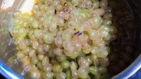 Seperti pada gambar ini. Ini merupakan kumpulan buah anggur yang kulitnya sudah dikupas. Foto: BuzzFeed