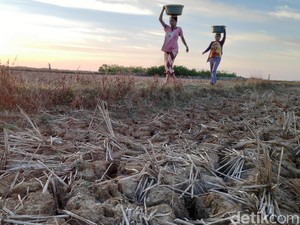 Krisis Air Bersih Melanda Pesisir Maros Sulsel
