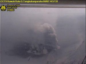 Jumat Sore Ini Gunung Tangkuban Perahu 8 Kali Erupsi