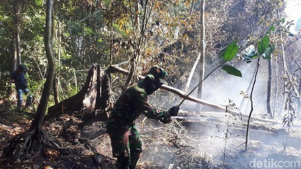 Petugas Beberkan Kesulitan Pemadaman Karhutla di Pelalawan Riau