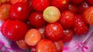 Antam Kembangkan 14 Varian Buah Asli Indonesia Di Bogor