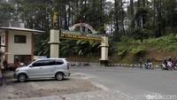 Kepala PVMBG Kasbani menuturkan dalam beberapa hari terakhir terjadi peningkatan aktivitas vulkanik di Gunung Tangkuban Perahu. Erupsi pertama terjadi pada 26 Juli dengan ketinggian kolom abu setinggi kurang lebih 200 meter dari atas puncak. Kemudian, pada Kamis (1/8/2019) pukul 20.46 WIB, Gunung Tangkuban Perahu kembali mengalami erupsi dan dilanjutkan dengan erupsi lanjutan. Sampai Jumat (2/8/2019) pukul 08.00 WIB, tercatat ada 8 kali erupsi yang terjadi.