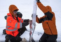 British Antarctic Survey meneliti es di Pulau Bouvet (British Antarctic Survey)