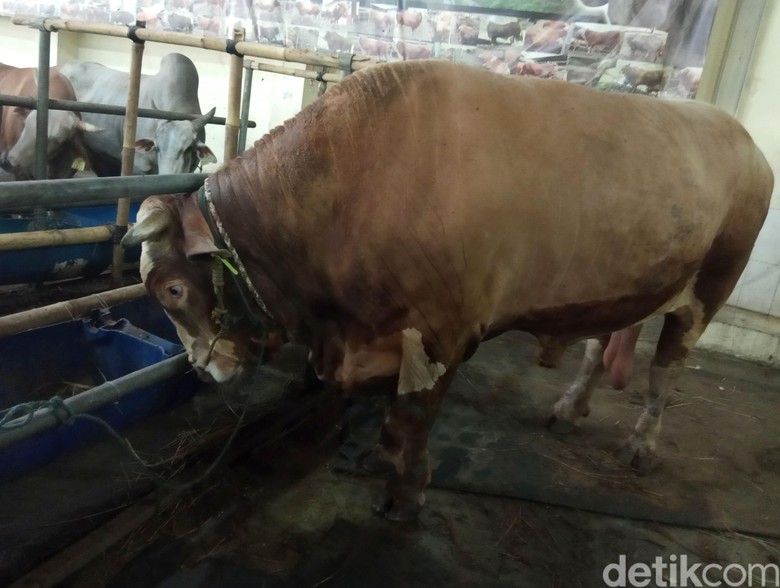 Bkd Surati Wali Kota Minta Camat Matraman Dievaluasi Gegara