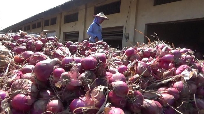 Produksi Bawang Merah Anjlok 30%, Kok Malah Ada Ekspor?