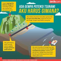 Panduan Mitigasi Gempa Bumi Dan Tsunami - Geografi Beta