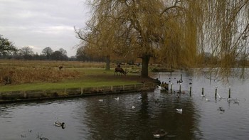 Inilah contoh hasil fotonya. Foto: Pocket Lint