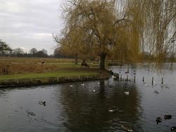 Nokia E72, Andalan untuk Membunuh BlackBerry