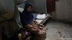 Bangun Asa Keluarga Marsani yang Luluh Lantak Akibat Gempa M 6,9