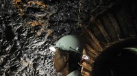 Hal tersebut membuat sebagian pekerja tambang beralih ke kota lain. Sawahlunto pun mulai ditinggalkan dan menjadi kota mati.