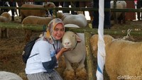 Wisatawan pun berfoto dengan domba lucu ini. (Uje Hartono/detikcom)