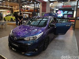 Si Bunglon Diskotik Berjalan