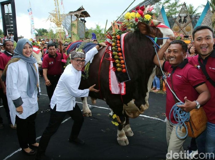 Banyuwangi Gelar Cattle And Pets Festival Jelang Idul Adha