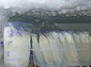 Pemilik Ikan Koi Mati Gugat PLN, Perlukah Emak-emak Perkarakan ASI Basi?
