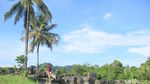 Potret Karst Rammang-rammang yang Nyaris Jadi Tambang