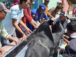 2 dari 4 Korban Tewas KM Pieces Teridentifikasi, Berikut Identitasnya