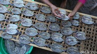 Ikan tersebut merupakan hasil tangkapan para nelayan. Keuntungan dari penjualan ian Kerapu tersebut mereka gunakan untuk membiayai pendidikan anak-anaknya dan membeli peralatan rumah tangga.