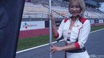 Para Pemanis di Korea International Circuit