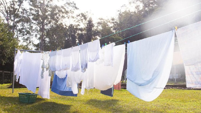 Cloths are hanging on clothesline