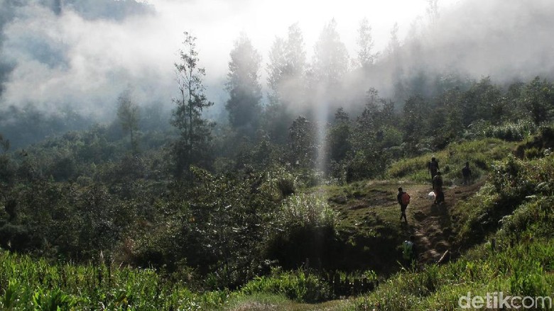 Ugimba, desa di pedalaman Papua yang tanpa listrik (Afif Farhan/detikcom) Ugimba, desa di pedalaman Papua yang tanpa listrik (Afif Farhan/detikcom)
