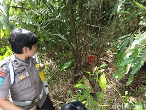 Siswi SMK yang Magang di Pemkab Taput Diperkosa dan Dibunuh
