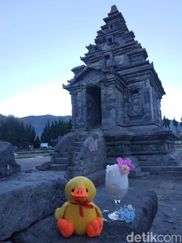 Brrrr! Suhu Dieng Turun Hingga Minus 10,5 Derajat Celcius