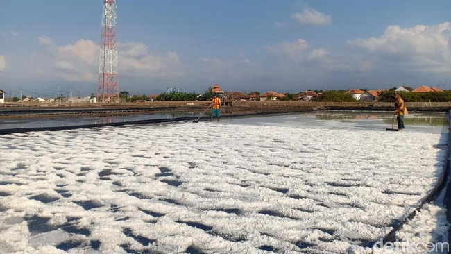 Mengapa RI Masih Rajin Impor Garam?