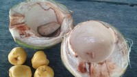 Beberapa unggahan foto Instagam Valentina menunjukkan momen kulinerannya. Kala di negara asalnya ia memberitahu bahwa kelapa adalah buah favoritnya. Foto: Instagram valentts