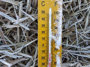 Brrrr! Suhu Dieng Turun Hingga Minus 10,5 Derajat Celcius