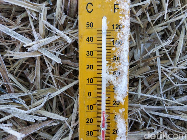 Brrrr! Suhu Dieng Turun Hingga Minus 10,5 Derajat Celcius Brrrr! Suhu Dieng Turun Hingga Minus 10,5 Derajat Celcius