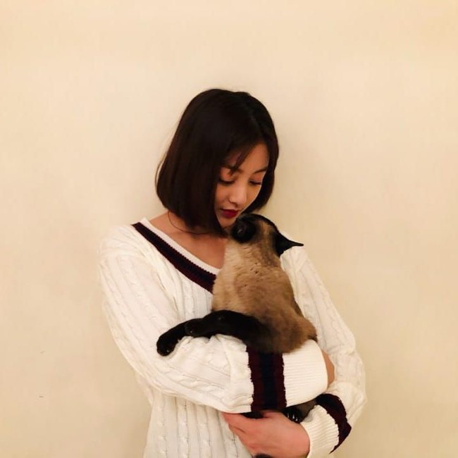 Dikatakan punya banyak kesamaan, tampaknya Kang Daniel dan Jihyo TWICE sama-sama menyukai kucing. Foto: Instagram @twicetagram