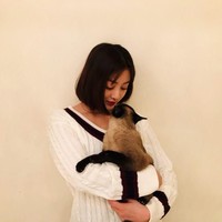 Dikatakan punya banyak kesamaan, tampaknya Kang Daniel dan Jihyo TWICE sama-sama menyukai kucing. Foto: Instagram @twicetagram