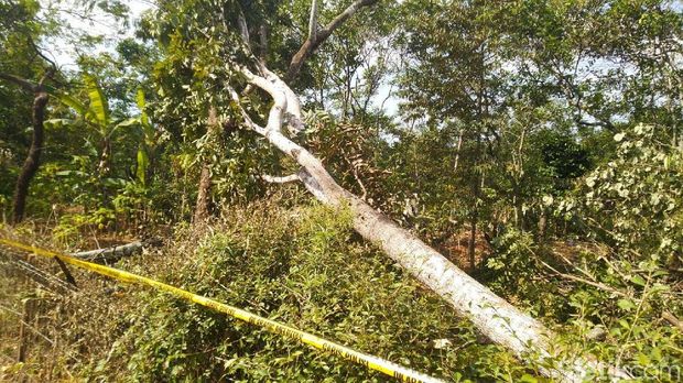 Ini 5 'Tersangka Penggelapan' Kasus Blackout 3 Provinsi di Jawa