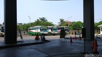 PO Bus Rasa Sayang yang punya rute sampai Timur Indonesia (Randy/detikcom)