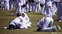 Terdapat 774 pamong praja muda yang dilantik oleh Wakil Presiden Jusuf Kalla. Para pamong praja itu terdiri dari 479 putra dan 265 putri.