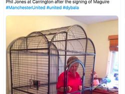 Meme Kocak Kesedihan Phil Jones Disingkirkan Harry Maguire