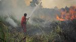 Mengerikan! Begini Saat Lahan Gambut Dilahap Api