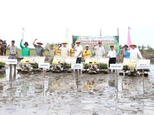 Percepat Ekonomi Bangka, Kemendes Kembangkan Prukades Padi
