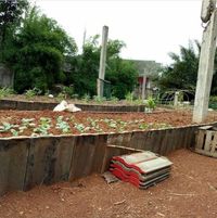 Mau Jadi Petani Muda yang Keren? Gabunglah di Sekolah Seniman Pangan