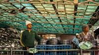 Dapur ini dijalankan oleh para relawan yang bekerja dan memasak tanpa dibayar. Kebanyakan relawan berasal dari penduduk India yang menganut Sikh. Foto: Istimewa