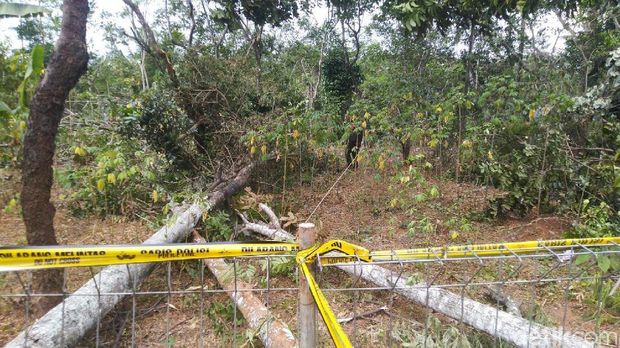 Ini 5 'Tersangka Penggelapan' Kasus Blackout 3 Provinsi di Jawa
