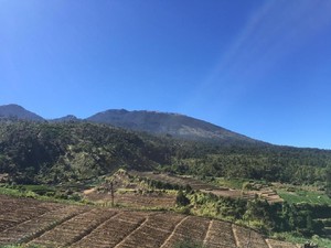 Tak Ada Lagi Bara Api, Pemadaman Kebakaran Gunung Arjuno Dihentikan