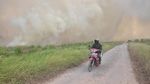 Mengerikan! Begini Saat Lahan Gambut Dilahap Api