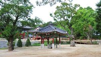 Wisatawan juga diperbolehkan kemping di area yang disediakan. Ada lebih dari 200 pohon zelkova yang berumur puluhan tahun untuk menyejukkan suasana. (Yeoju.go.kr)