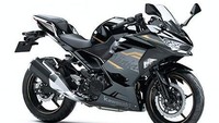 Dari segi grafis, Kawasaki Ninja 250 versi 2020 bakal mendapat 3 pilihan baru, yakni Metallic Spark Black, Metallic Matte Graphite Grey, serta edisi khusus KRT (Kawasaki Racing Team), dengan grafis hijau dan aksen merah di bodi bawah mesin yang bikin terlihat sporty. Foto: Pool (Young Machine)