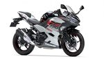 Kawasaki Ninja 250 Lebih Segar
