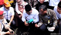 Pria yang karib disapa Emil ini nampak mengamati keadaan pantai dari dekat. Menggunakan sarung tangan, pria berkacamata itu mengamati minyak mentah kental yang tercecer di pantai.