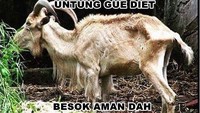 Kambing yang satu ini kayaknya akan selamat dan tak jadi hewan kurban. Tubuh kurusnya tak mungkin dipilih sebagai kurban nih. Foto: istimewa