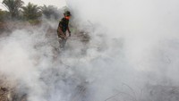 Kebakaran Hutan dan Lahan (Karhutla) yang terjadi di tujuh kecamatan di Kabupaten setempat terus meluas.